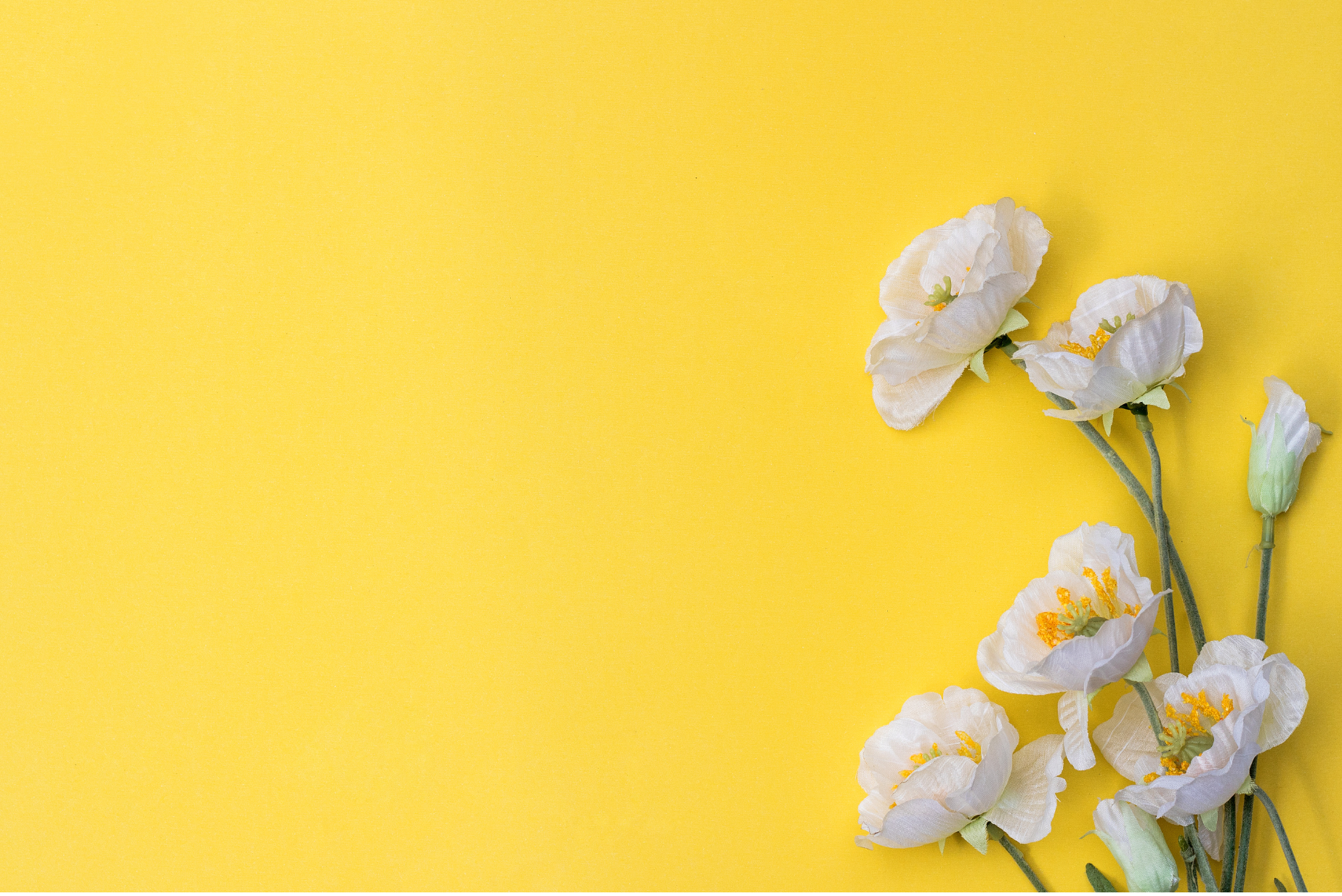 Flowers in Bloom (6)